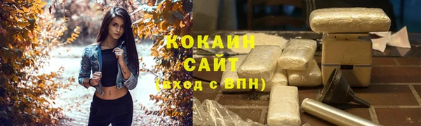 PSILOCYBIN Аркадак