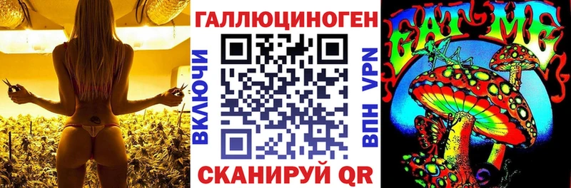 Галлюциногенные грибы Magic Shrooms Ахтубинск